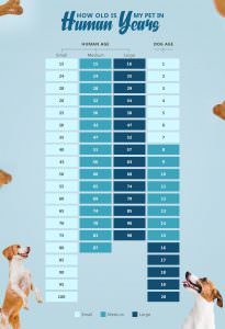 Find out your dog age! (when to Spay & Breed) | EasyDNA UK