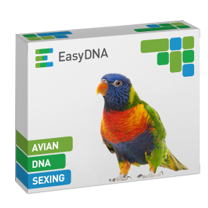 Avian DNA Sexing (bird test)