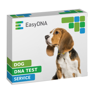 Dog DNA test 2