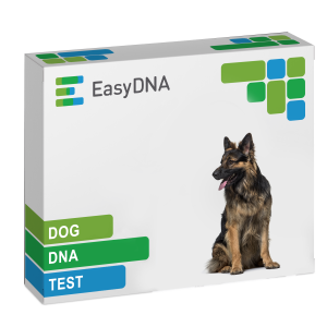 Dog DNA test