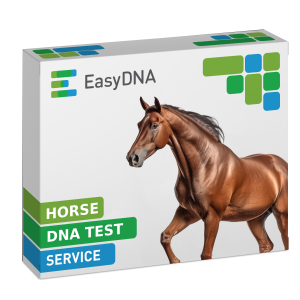 Horse Test